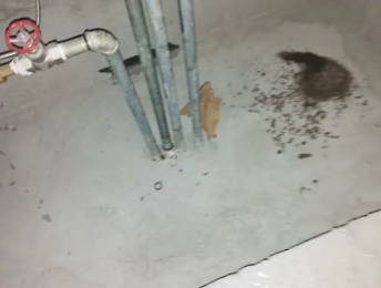 甘泉卫生间测漏水价格明细