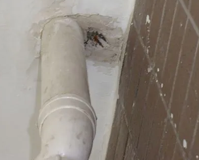 甘泉漏水检测哪家好